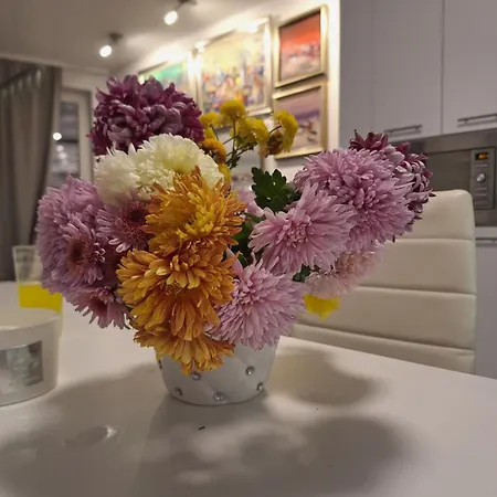 Apartman Park парк *